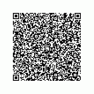 vCard 74822513900