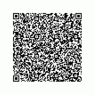 vCard 74822680295