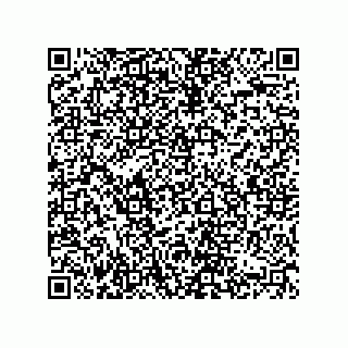 vCard 74822680313