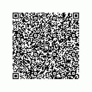 vCard 74822680333