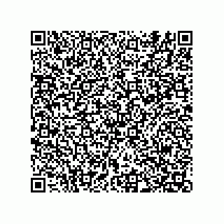 vCard 74822733121