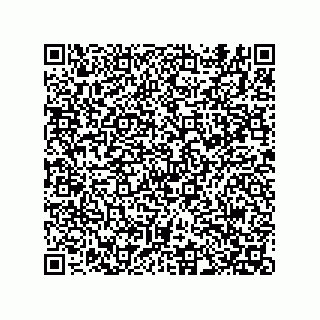 vCard 74822733131