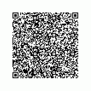 vCard 74822733181