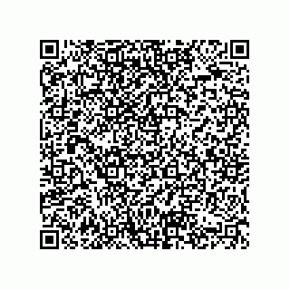 vCard 74822733203