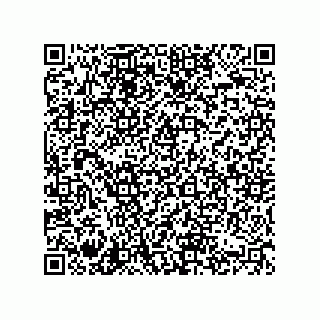 vCard 74822733281