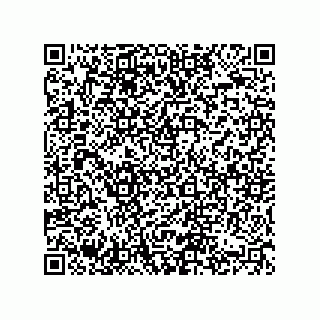 vCard 74822733285