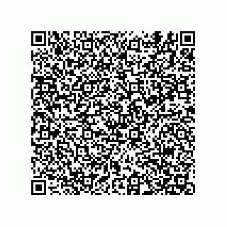 vCard 74822733291