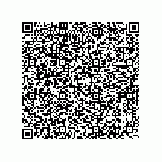 vCard 74822733312