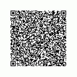 vCard 74822733313