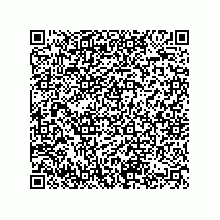 vCard 74822733332