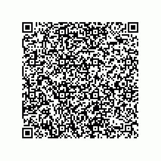 vCard 74822733339