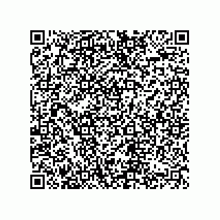 vCard 74822733355