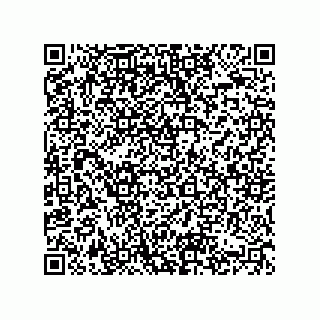 vCard 74822733381