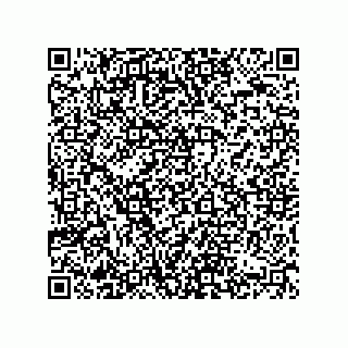 vCard 74822780021