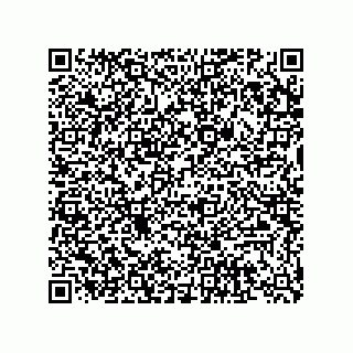 vCard 74822780319
