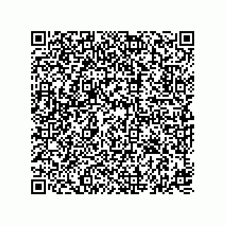 vCard 74827321339