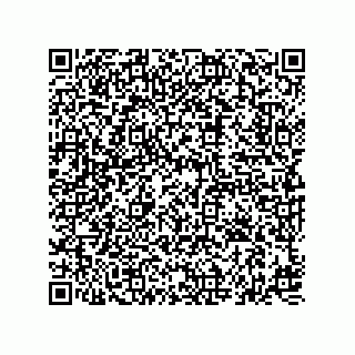 vCard 74827321377