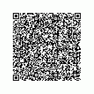 vCard 74827321379
