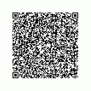 vCard 74827321381