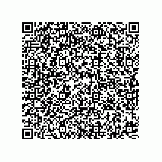 vCard 74827321383