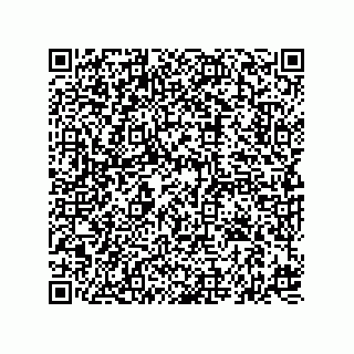vCard 74827321387