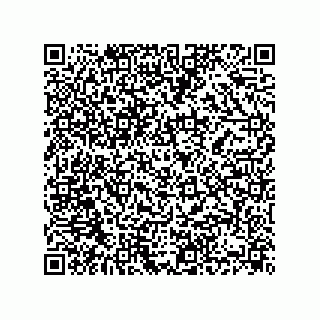 vCard 74832201331