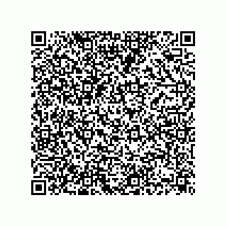 vCard 74832409733