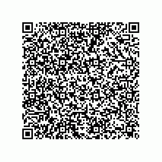 vCard 74832409878