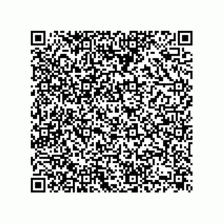 vCard 74832679381