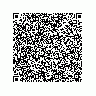 vCard 74832679389