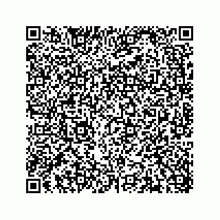 vCard 74833320384