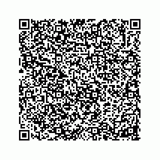 vCard 74845531727