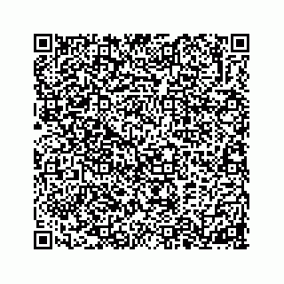 vCard 74845531731