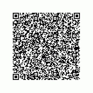 vCard 74845658131