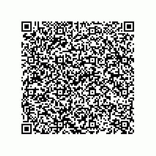 vCard 74852679313