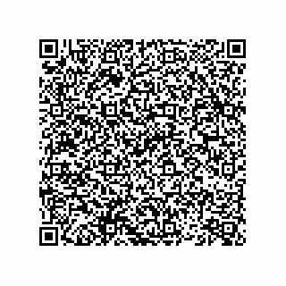 vCard 74852679321