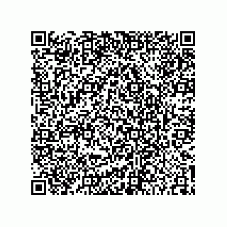 vCard 74852679381