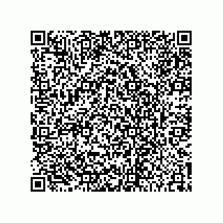 vCard 74852679385