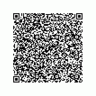 vCard 74852911379