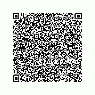 vCard 74852913384