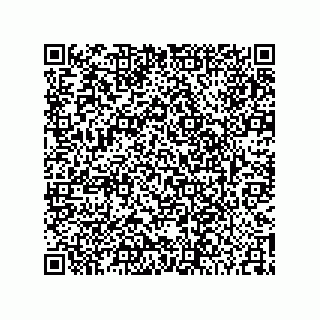 vCard 74852920389