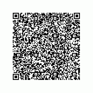 vCard 74852958410