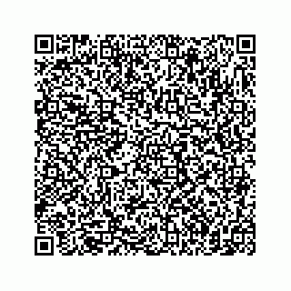vCard 74855278279