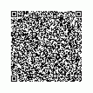 vCard 74855278399