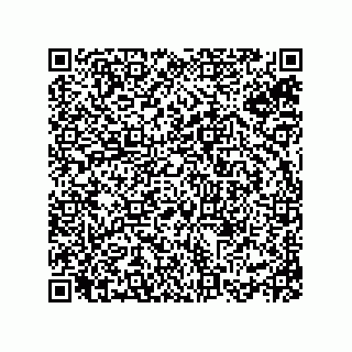 vCard 74866221385