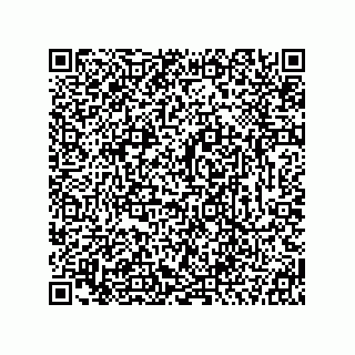vCard 74866629331