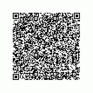 vCard 74872384110