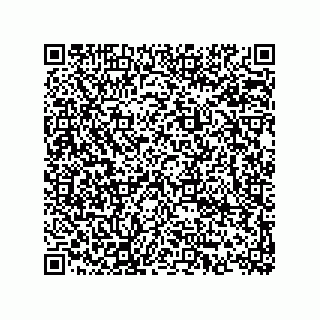 vCard 74873321133