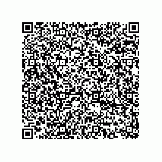 vCard 74873321139