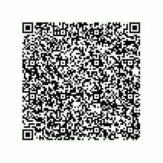 vCard 74873321207